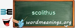 WordMeaning blackboard for scolithus